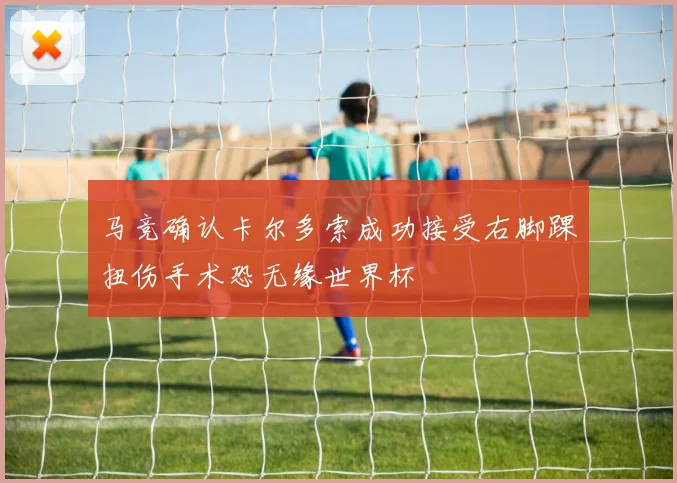 马竞确认卡尔多索成功接受右脚踝扭伤手术恐无缘世界杯