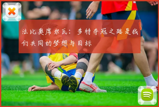 法比奥席尔瓦：多特夺冠之路是我们共同的梦想与目标